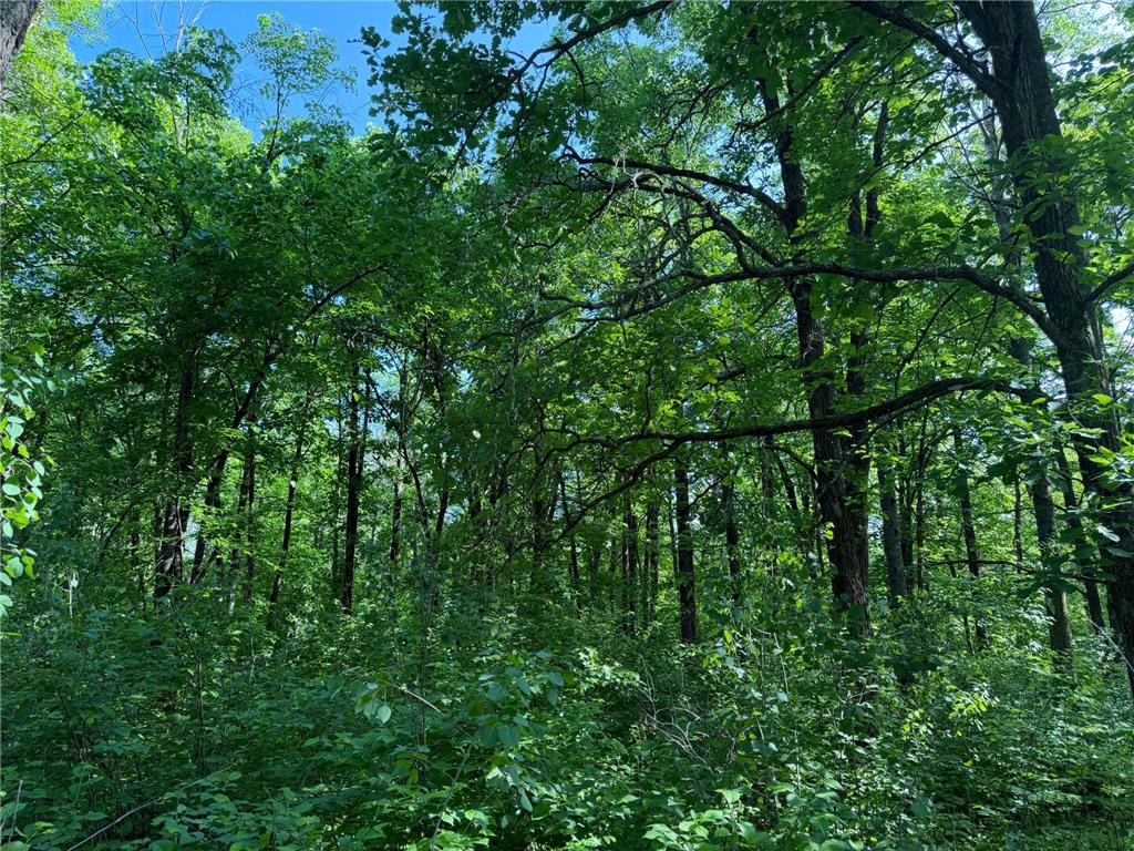 TBD 270th Street Sebeka MN 56477 - Crow Wing River 7091813 image35