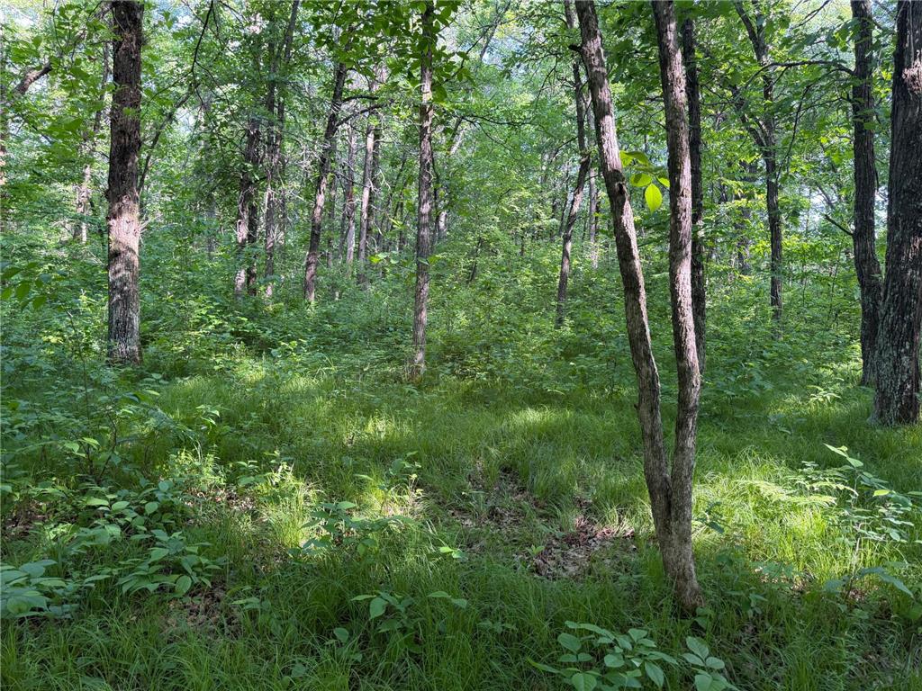 TBD 270th Street Sebeka MN 56477 - Crow Wing River 7091813 image36