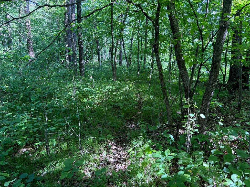 TBD 270th Street Sebeka MN 56477 - Crow Wing River 7091813 image38