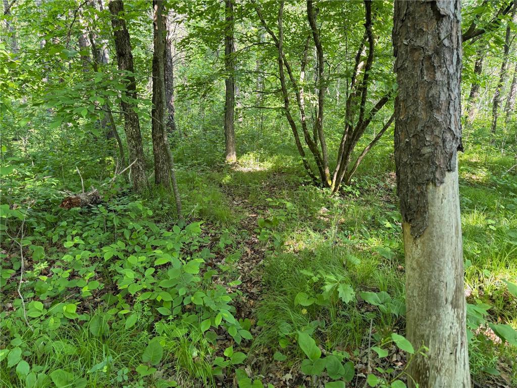 TBD 270th Street Sebeka MN 56477 - Crow Wing River 7091813 image39
