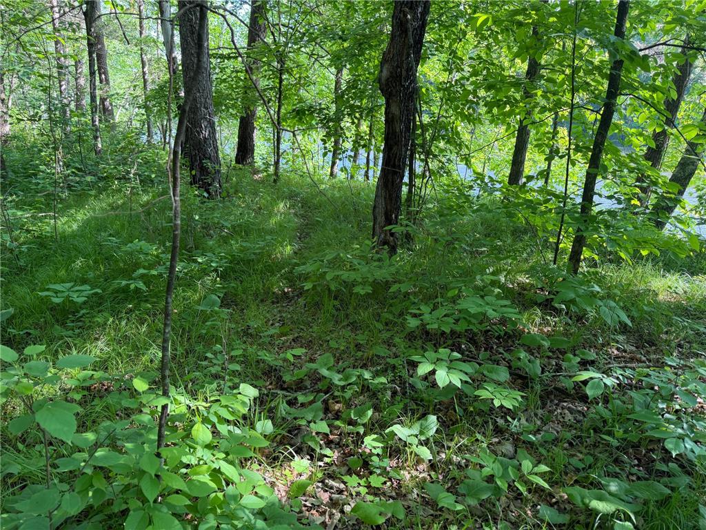 TBD 270th Street Sebeka MN 56477 - Crow Wing River 7091813 image40