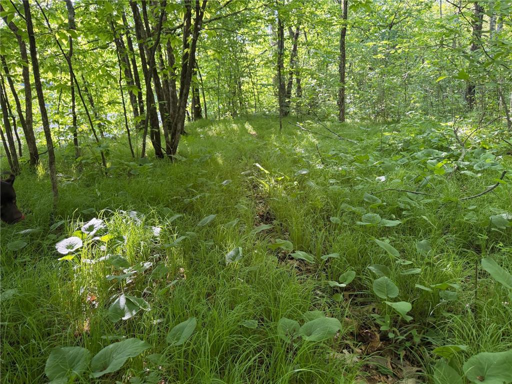 TBD 270th Street Sebeka MN 56477 - Crow Wing River 7091813 image49