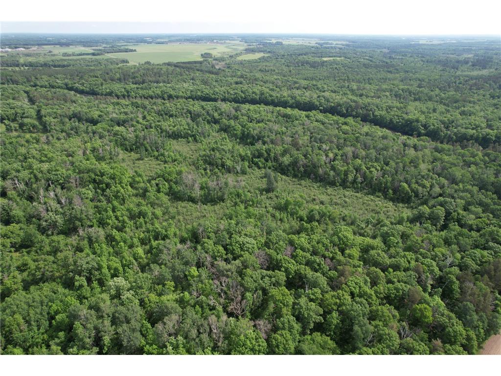 TBD 270th Street Sebeka MN 56477 - Crow Wing River 7091813 image5
