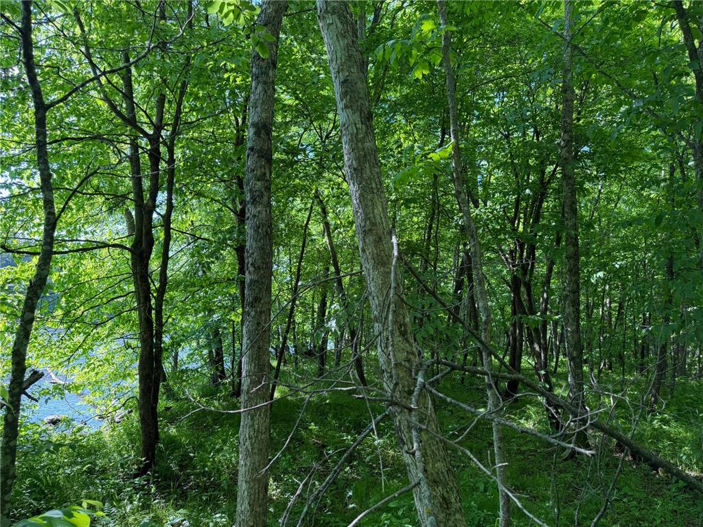 TBD 270th Street Sebeka MN 56477 - Crow Wing River 7091813 image55