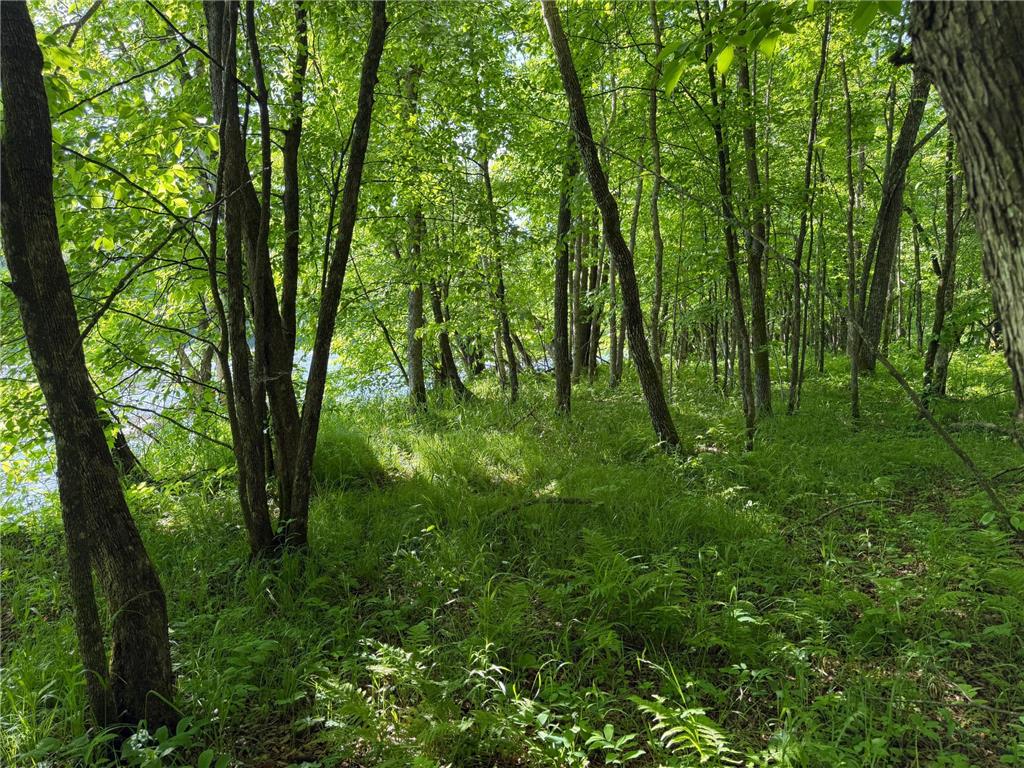 TBD 270th Street Sebeka MN 56477 - Crow Wing River 7091813 image56