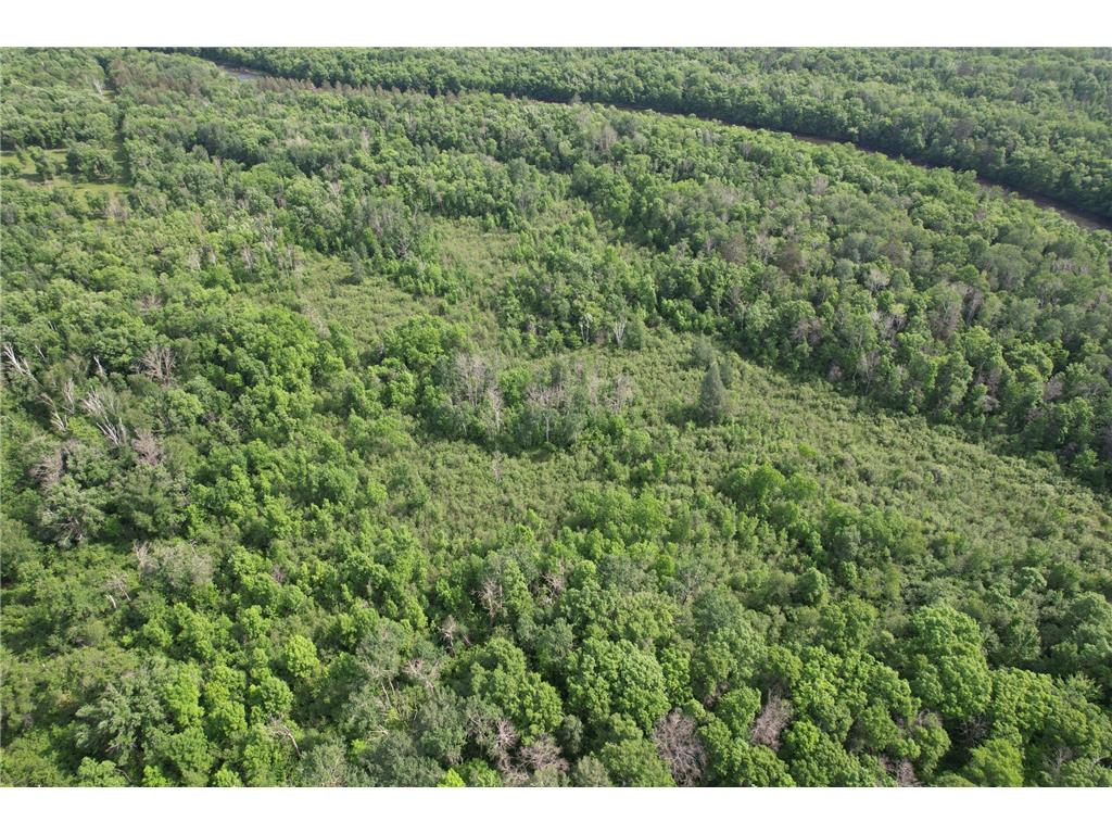 TBD 270th Street Sebeka MN 56477 - Crow Wing River 7091813 image6