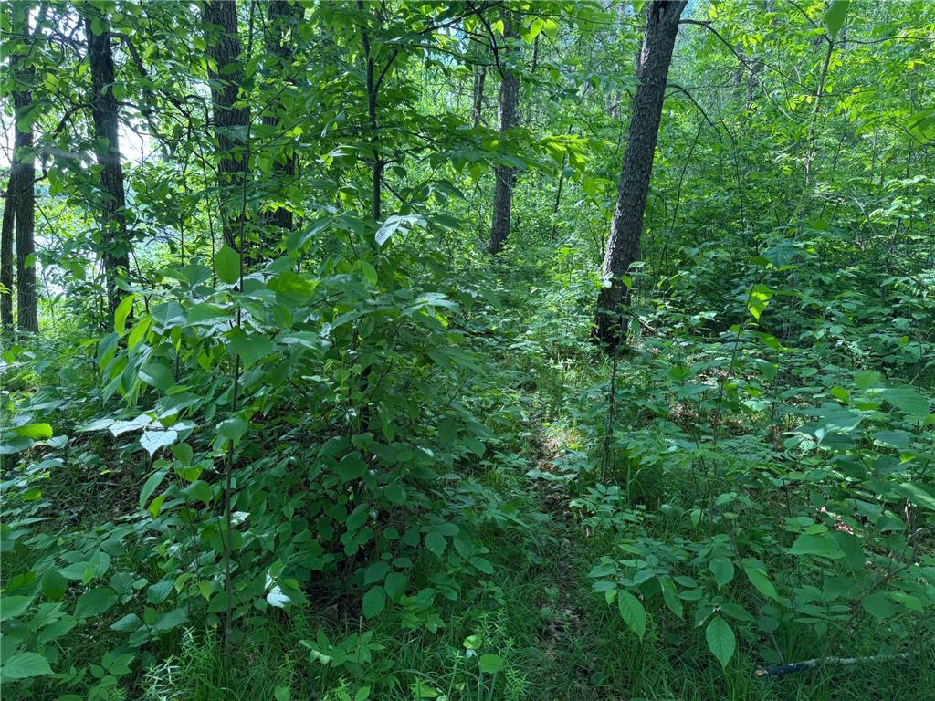 TBD 270th Street Sebeka MN 56477 - Crow Wing River 7091813 image61