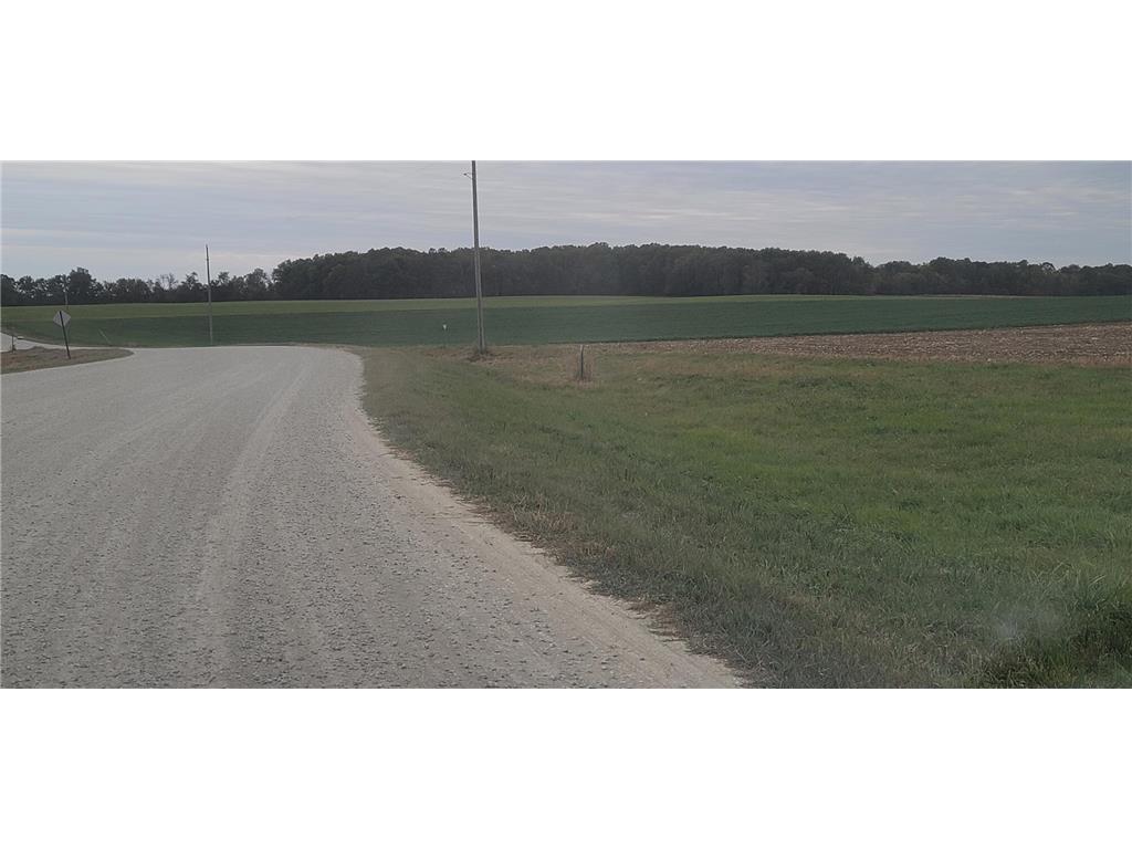 TBD 272nd Ave Mantorville MN 55955 6613070 image1