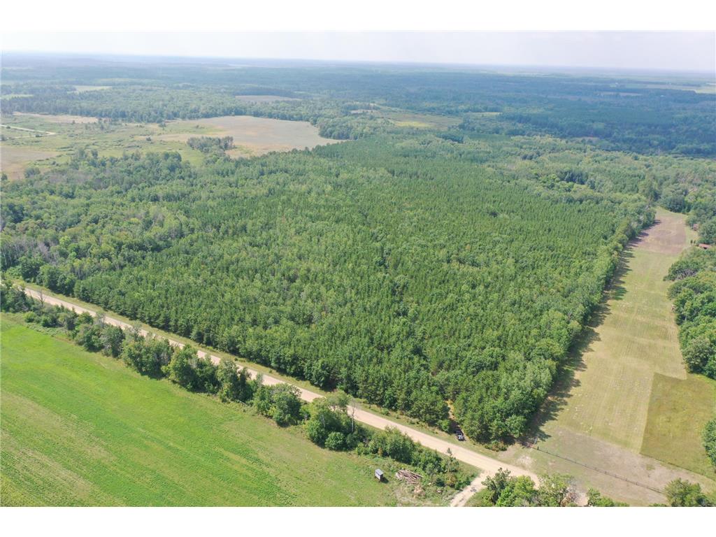TBD 275th Avenue Sebeka MN 56477 6420534 image1