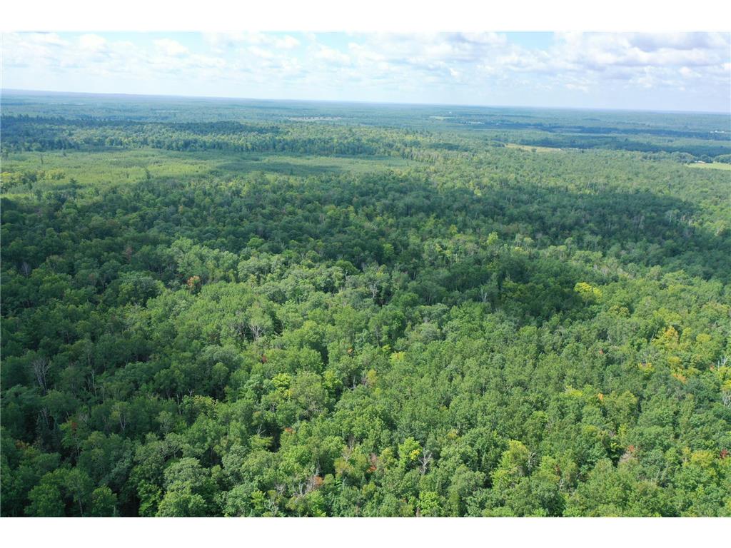 TBD 279th Avenue Laporte MN 56461 6772148 image1