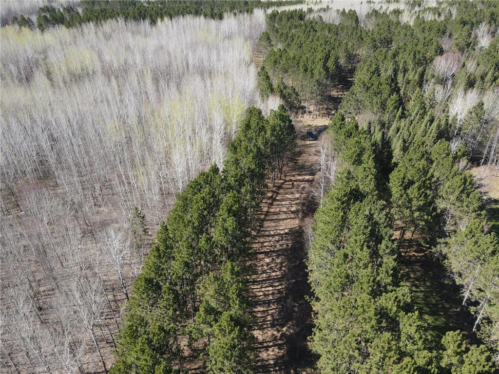 TBD (280AC) Maple Grove Road Cloquet MN 55720 7075597 image10