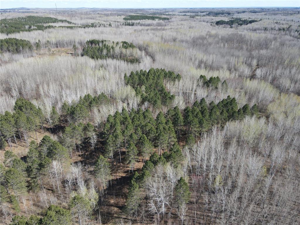 TBD (280AC) Maple Grove Road Cloquet MN 55720 7075597 image16