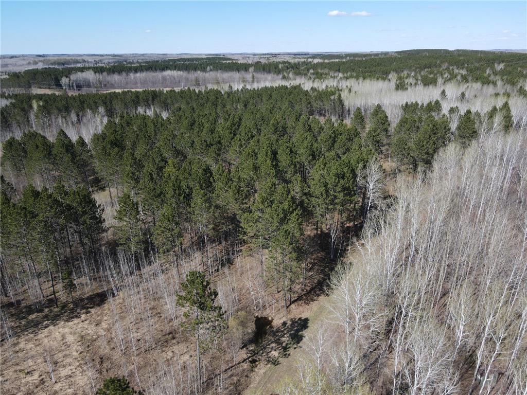 TBD (280AC) Maple Grove Road Cloquet MN 55720 7075597 image17