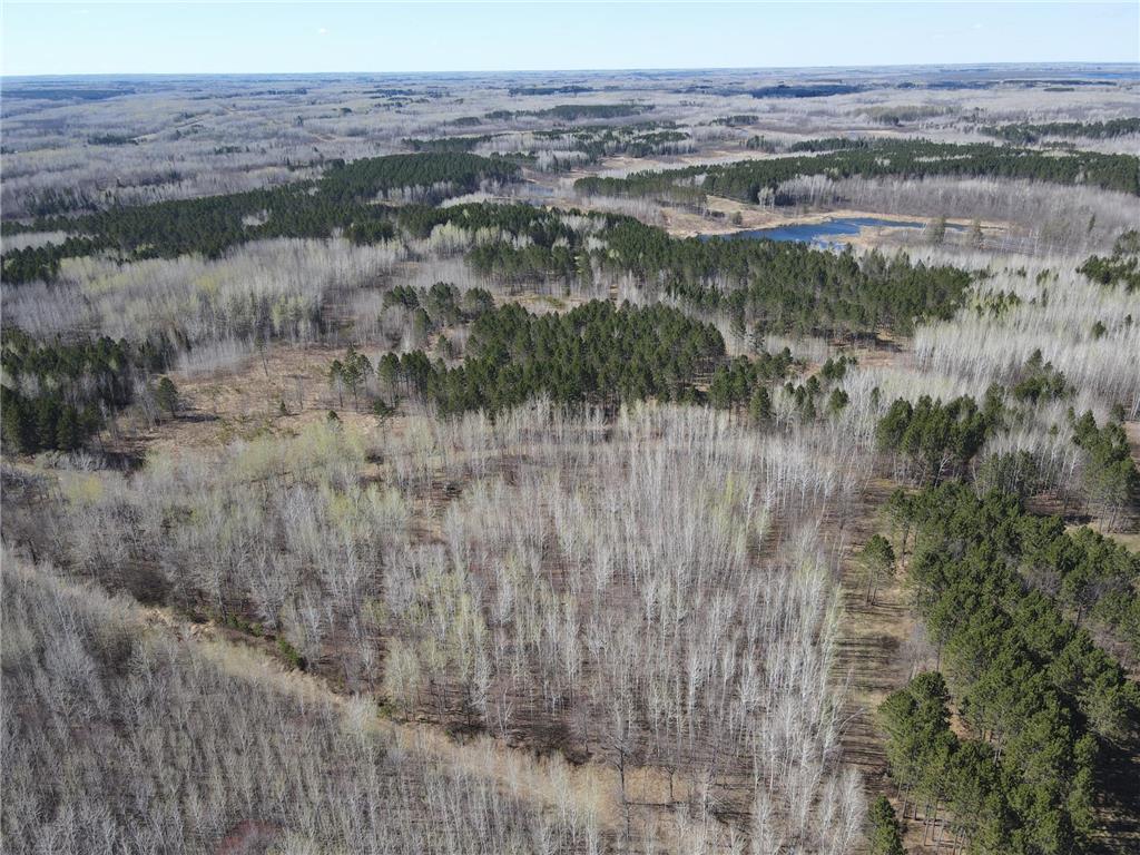 TBD (280AC) Maple Grove Road Cloquet MN 55720 7075597 image2