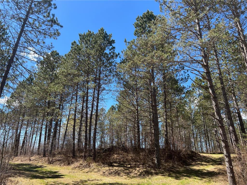 TBD (280AC) Maple Grove Road Cloquet MN 55720 7075597 image21