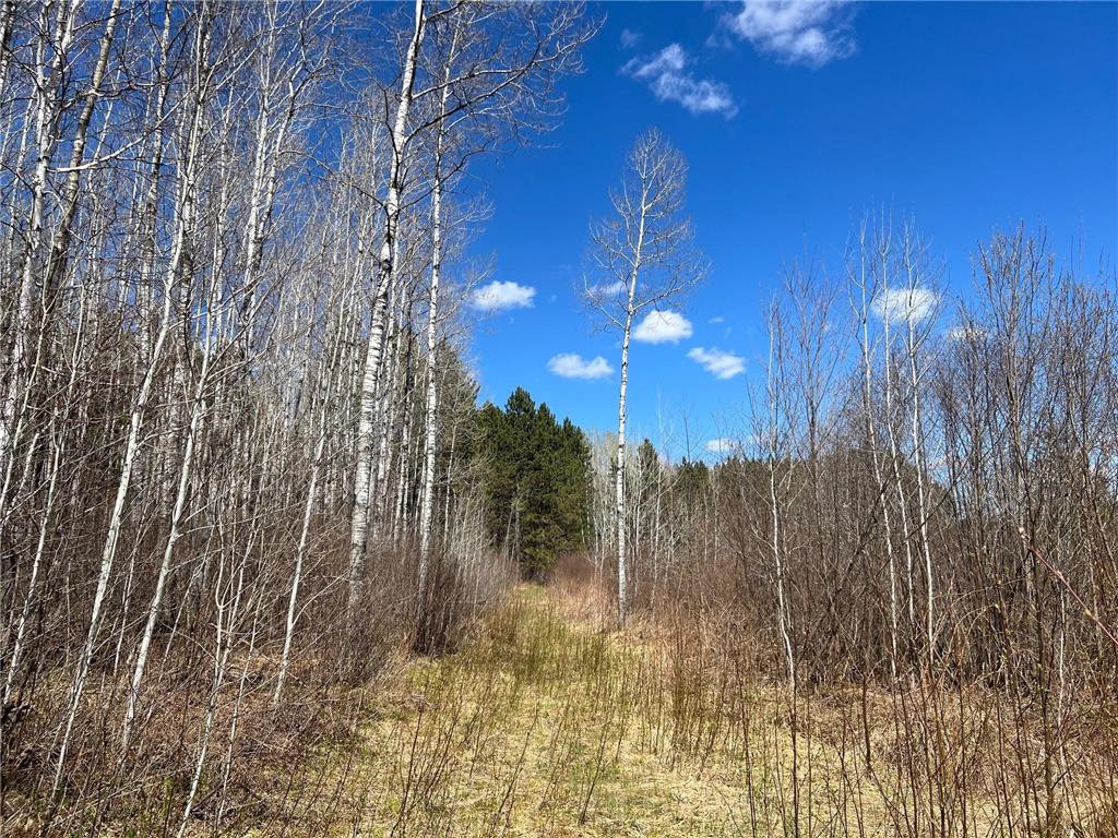 TBD (280AC) Maple Grove Road Cloquet MN 55720 7075597 image22