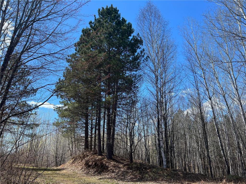 TBD (280AC) Maple Grove Road Cloquet MN 55720 7075597 image24
