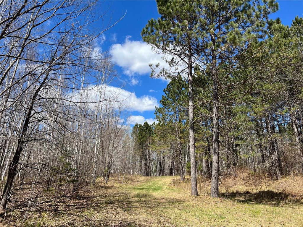 TBD (280AC) Maple Grove Road Cloquet MN 55720 7075597 image25