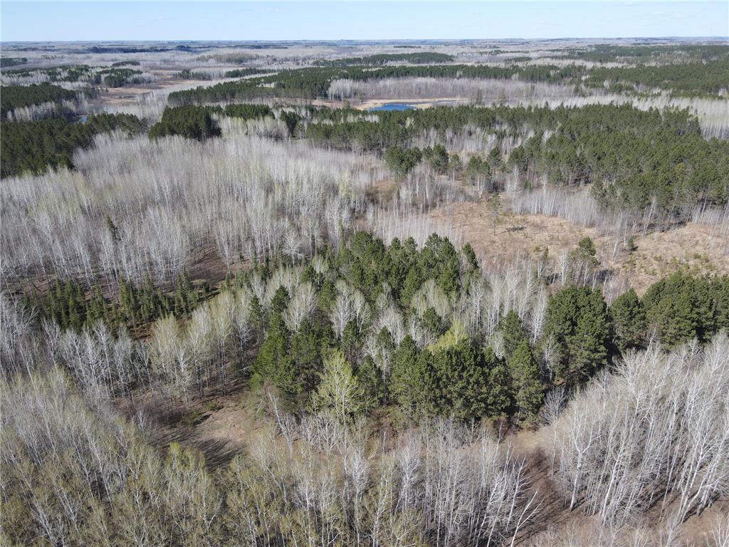 TBD (280AC) Maple Grove Road Cloquet MN 55720 7075597 image26