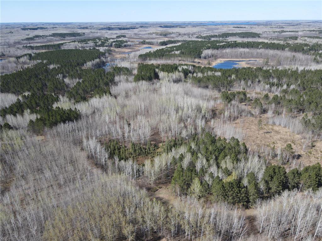 TBD (280AC) Maple Grove Road Cloquet MN 55720 7075597 image3