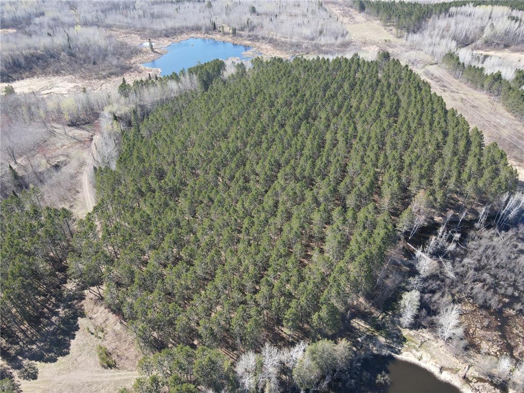 TBD (280AC) Maple Grove Road Cloquet MN 55720 7075597 image5