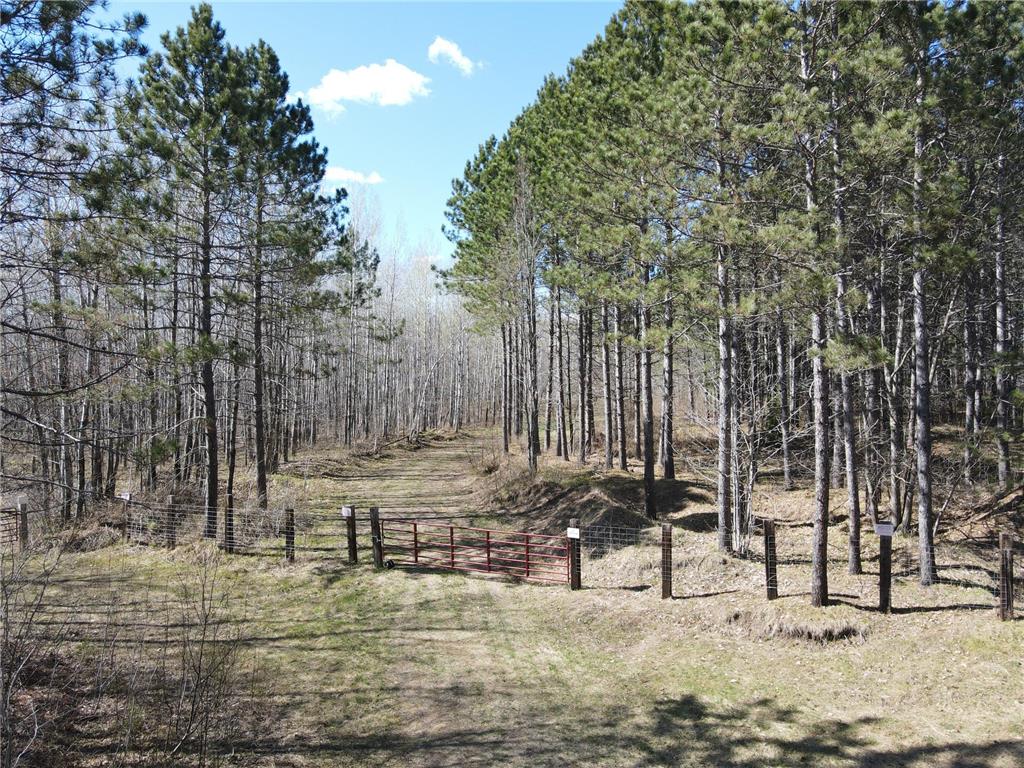 TBD (280AC) Maple Grove Road Cloquet MN 55720 7075597 image6