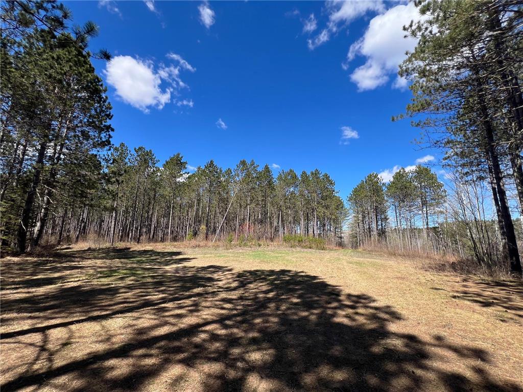 TBD (280AC) Maple Grove Road Cloquet MN 55720 7075597 image7