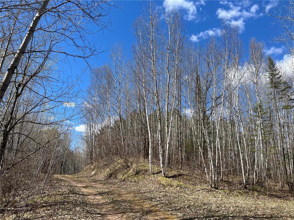 TBD (280AC) Maple Grove Road Cloquet MN 55720 7075597 image8