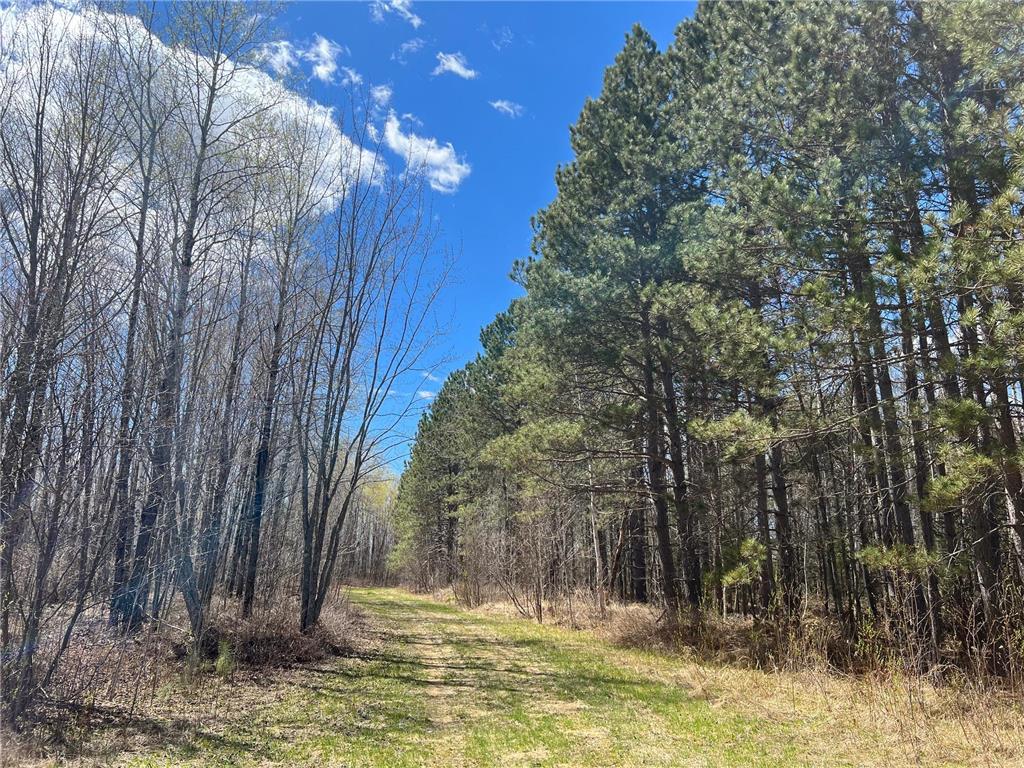 TBD (280AC) Maple Grove Road Cloquet MN 55720 7075597 image9