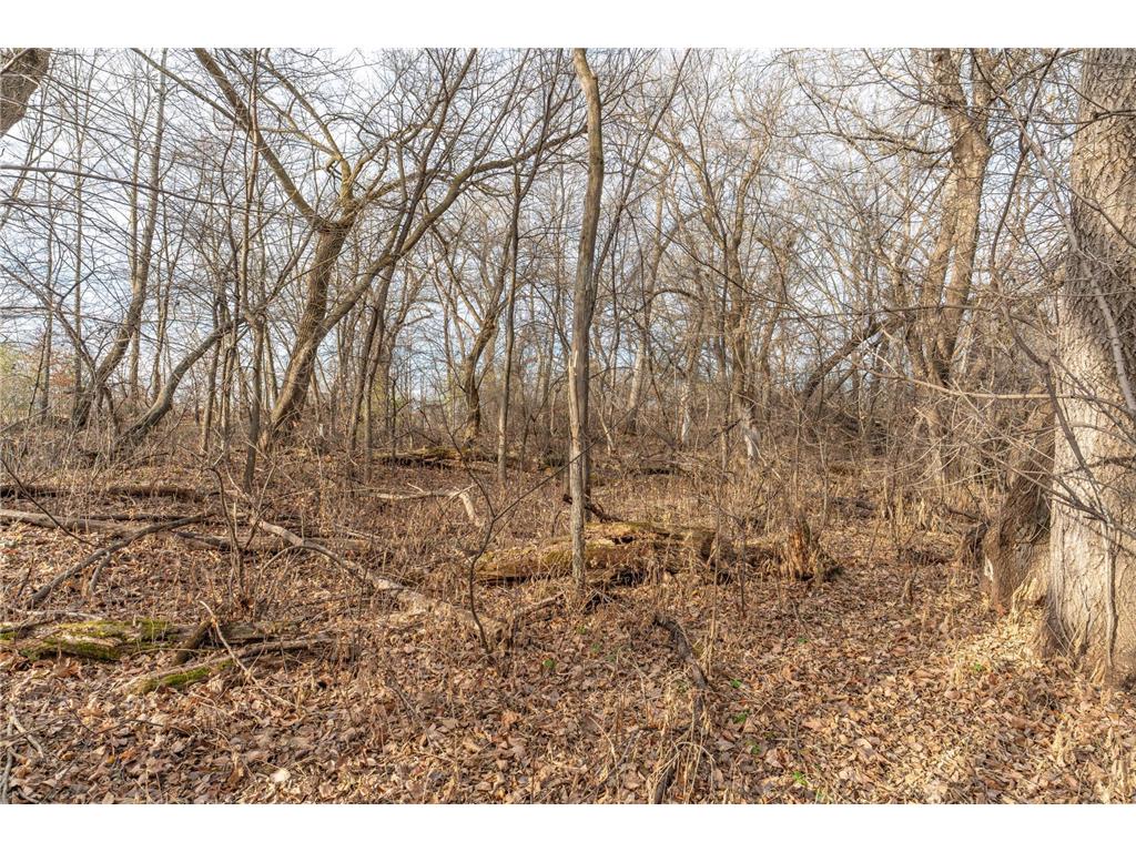 TBD 280th Avenue Underwood MN 56586 - Fish Lake 6819382 image10