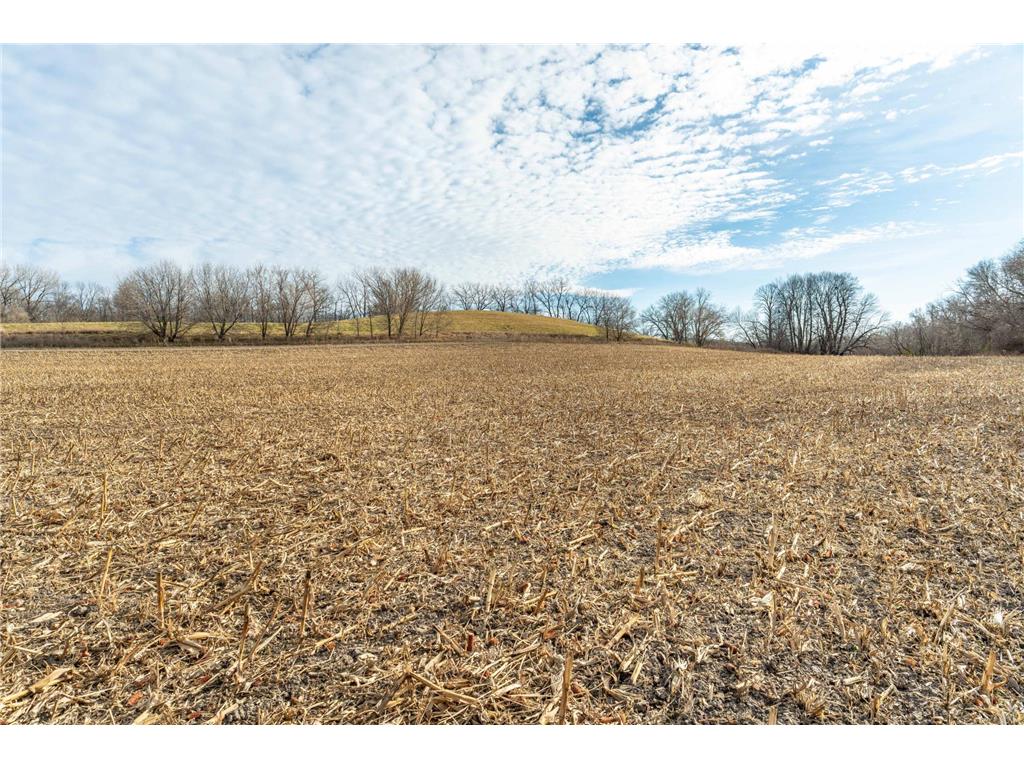 TBD 280th Avenue Underwood MN 56586 - Fish Lake 6819382 image11