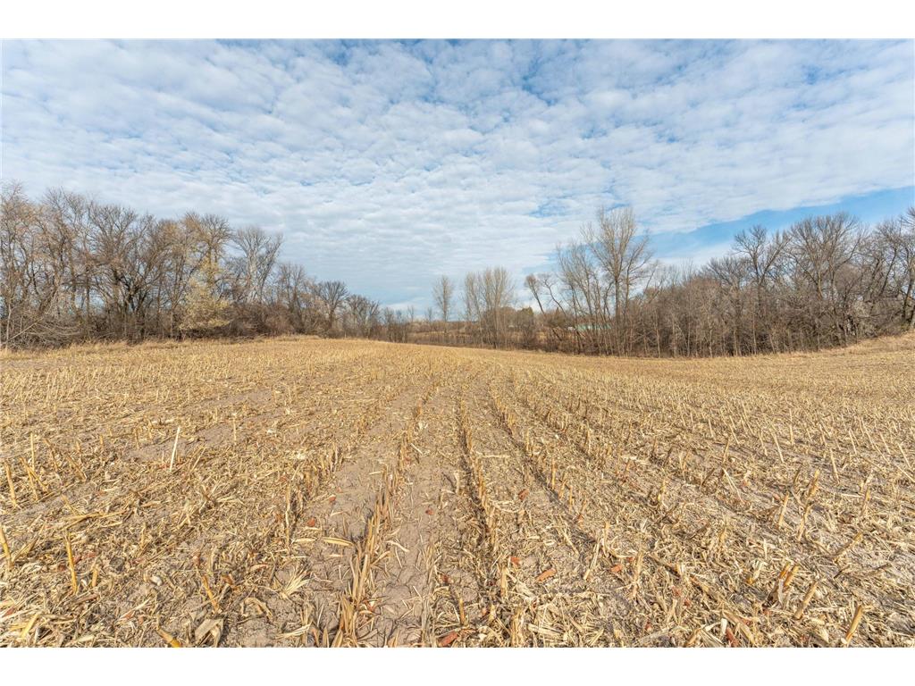 TBD 280th Avenue Underwood MN 56586 - Fish Lake 6819382 image12