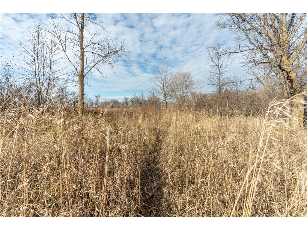 TBD 280th Avenue Underwood MN 56586 - Fish Lake 6819382 image13