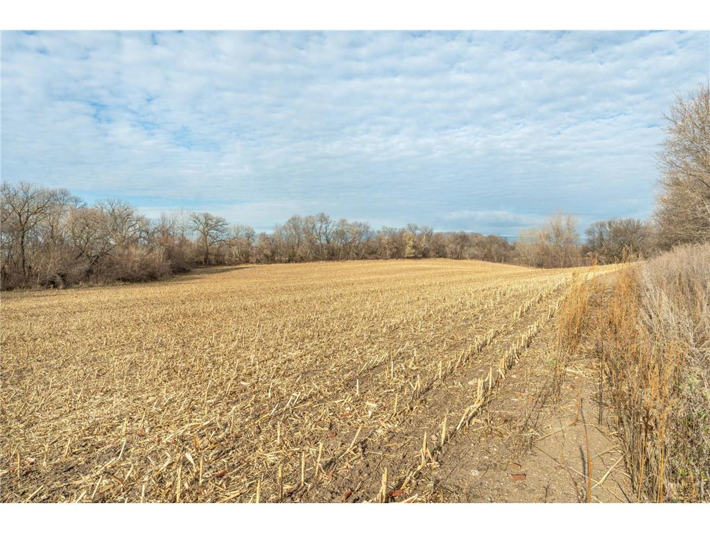 TBD 280th Avenue Underwood MN 56586 - Fish Lake 6819382 image8