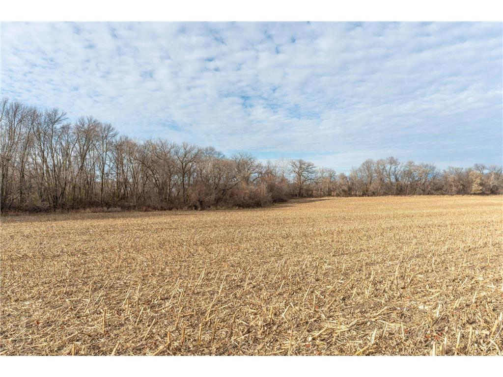 TBD 280th Avenue Underwood MN 56586 - Fish Lake 6819382 image9