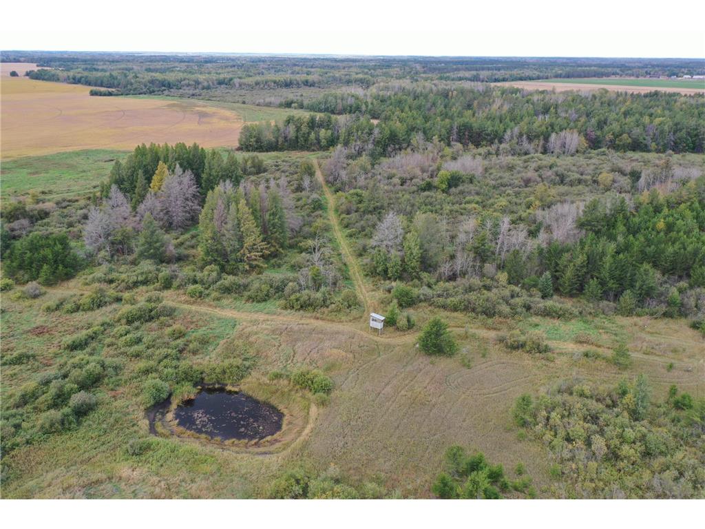 TBD 284th Street Sebeka MN 56477 6608942 image1