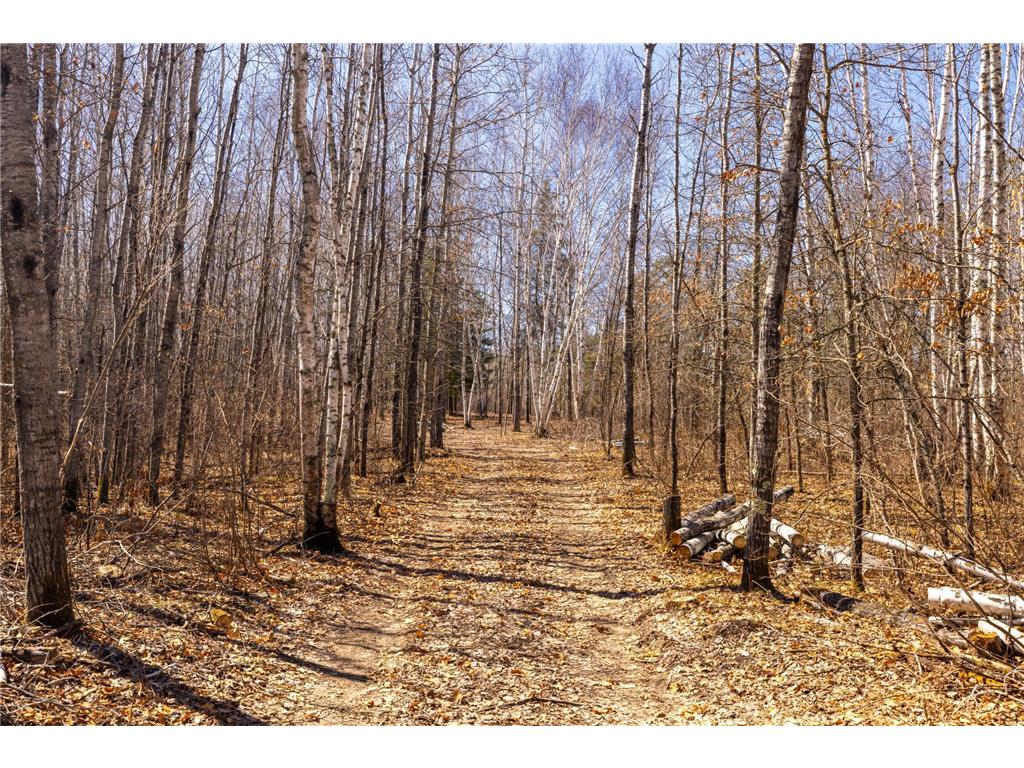 TBD 285th Avenue Akeley MN 56433 7058446 image10