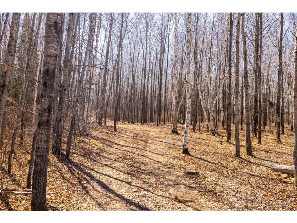 TBD 285th Avenue Akeley MN 56433 7058446 image11