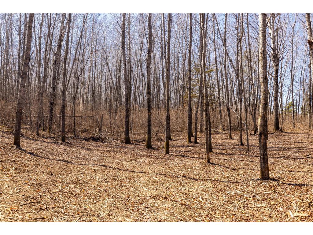 TBD 285th Avenue Akeley MN 56433 7058446 image13