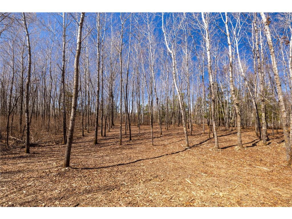 TBD 285th Avenue Akeley MN 56433 7058446 image14