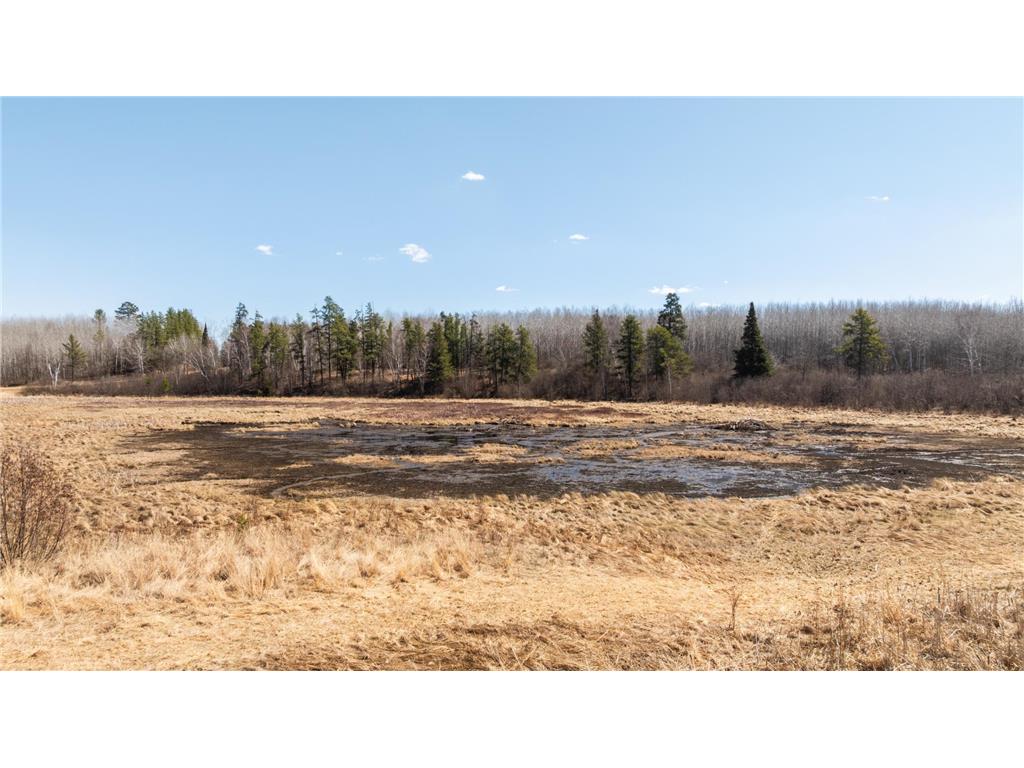 TBD 285th Avenue Akeley MN 56433 7058446 image15