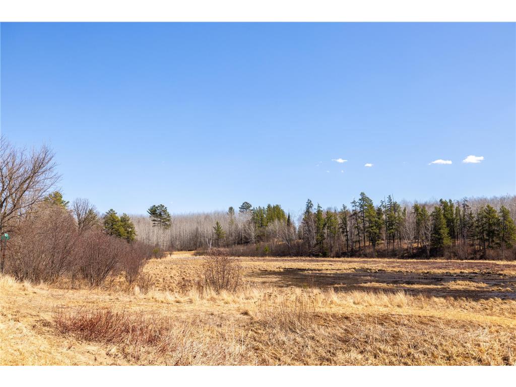 TBD 285th Avenue Akeley MN 56433 7058446 image8