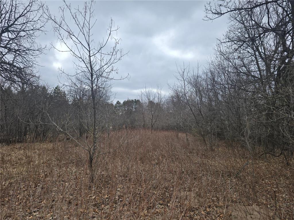 L11B1 288th Ave Avenue NW Baldwin Twp MN 55398 7052506 image1