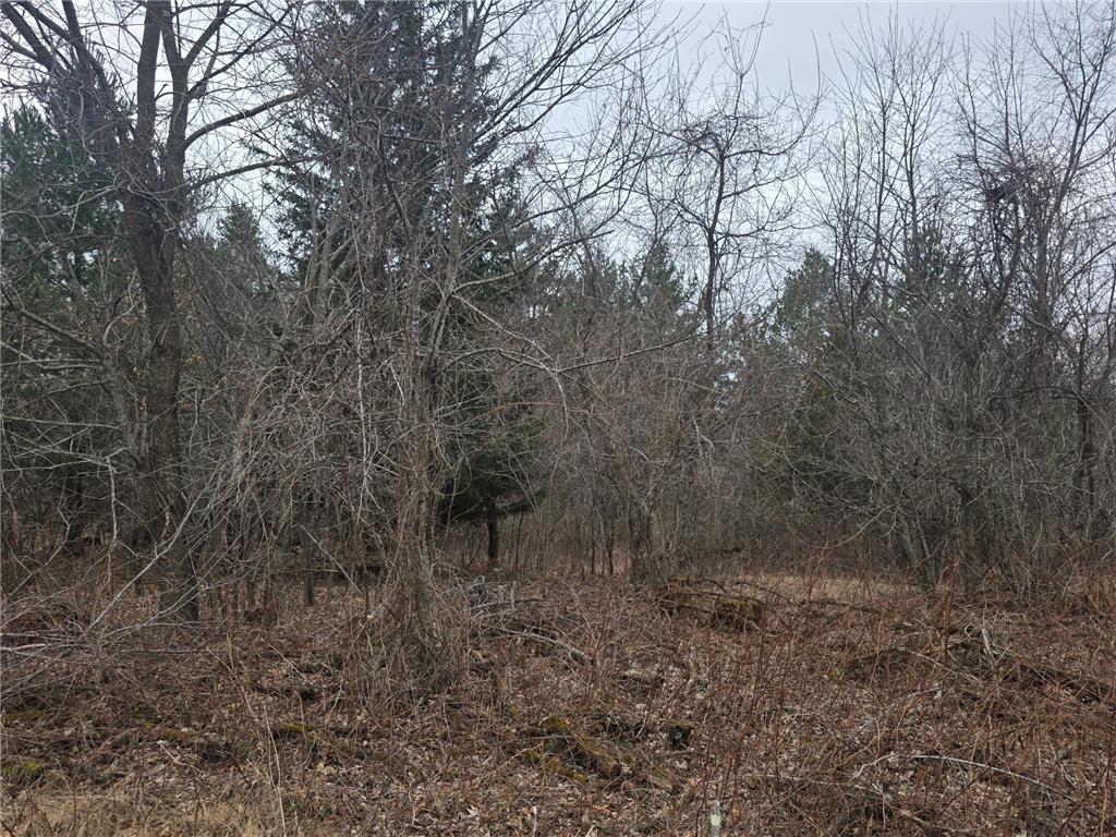 L11B1 288th Ave Avenue NW Baldwin Twp MN 55398 7052506 image2