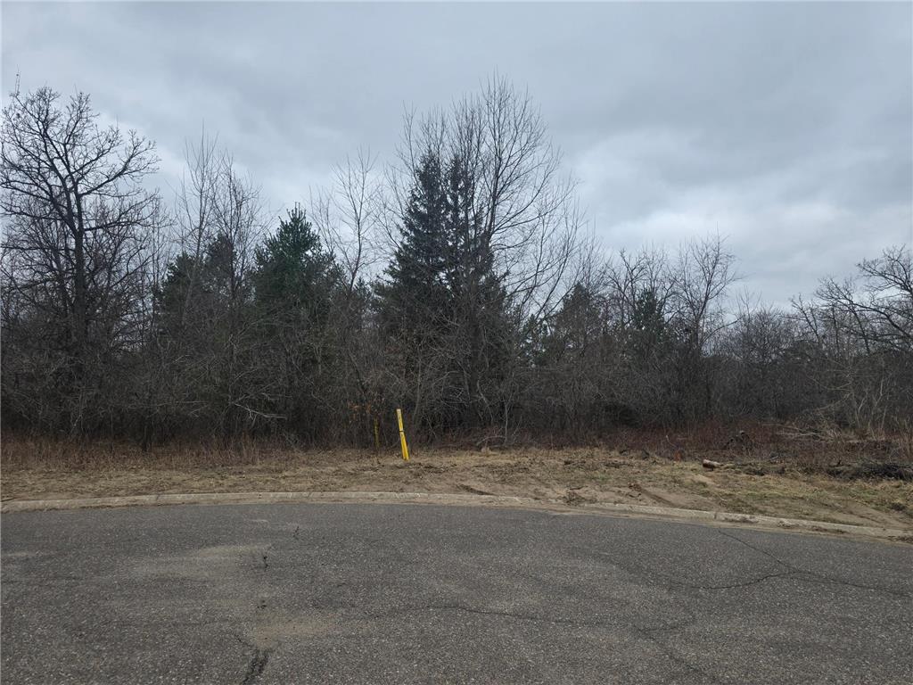 L11B1 288th Ave Avenue NW Baldwin Twp MN 55398 7052506 image3