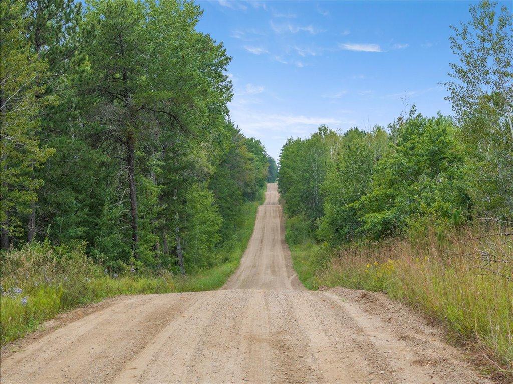 TBD 290th Street Park Rapids MN 56470 - Bad Axe 6690314 image1