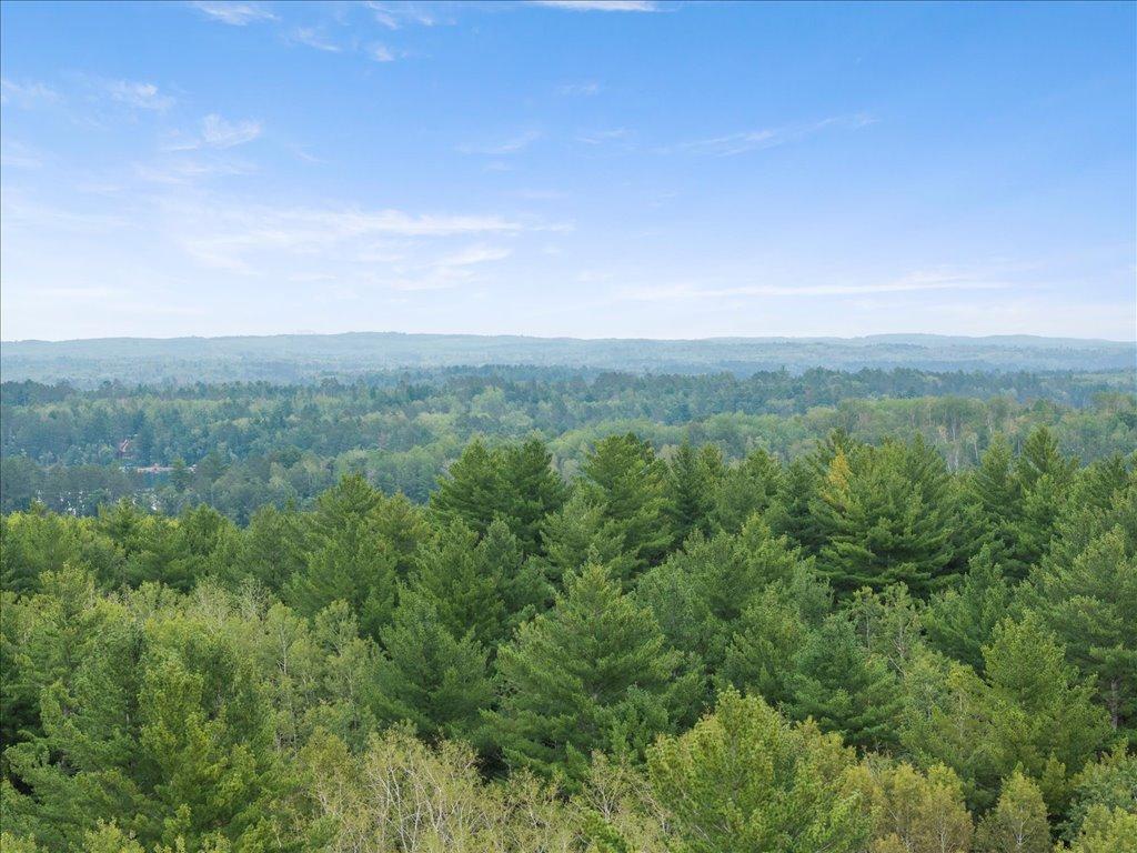 TBD 290th Street Park Rapids MN 56470 - Bad Axe 6690314 image10