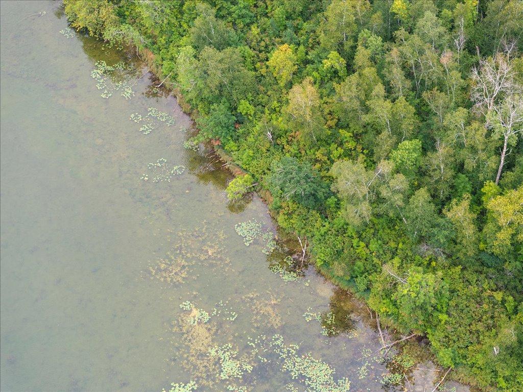 TBD 290th Street Park Rapids MN 56470 - Bad Axe 6690314 image11