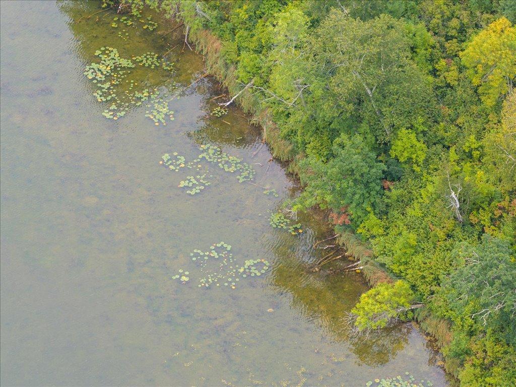 TBD 290th Street Park Rapids MN 56470 - Bad Axe 6690314 image14