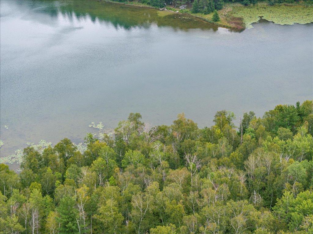 TBD 290th Street Park Rapids MN 56470 - Bad Axe 6690314 image3